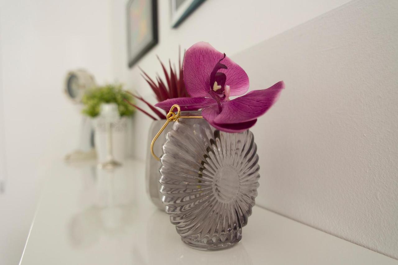 PUY Apartment Katy מראה חיצוני תמונה